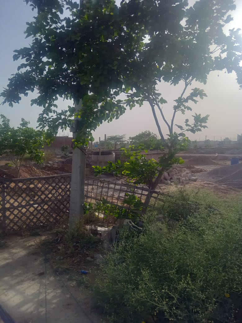 Anand Lok Alwar (16) 110 sq yd Residential Plot in Alwar
