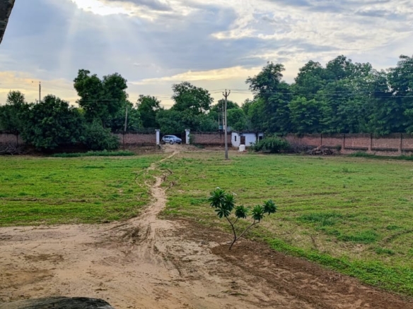 1000 sq yd Farmhouse Plot in Sohna