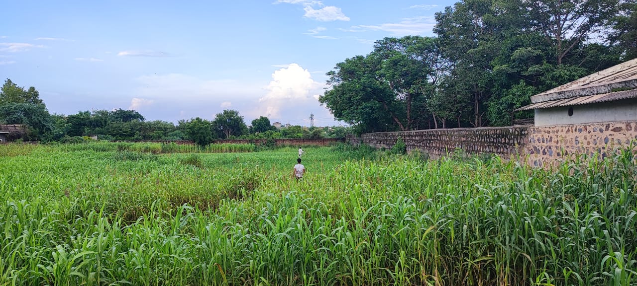 1000 sq yd Farmhouse Plot in Sohna
