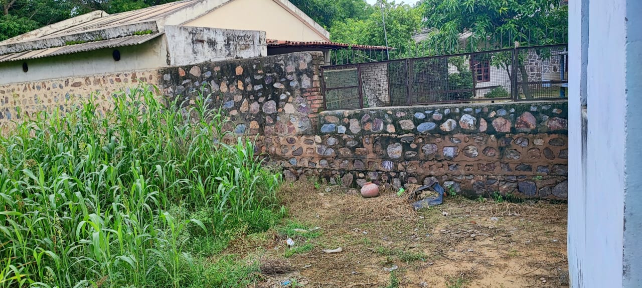 1000 sq yd Farmhouse Plot in Sohna