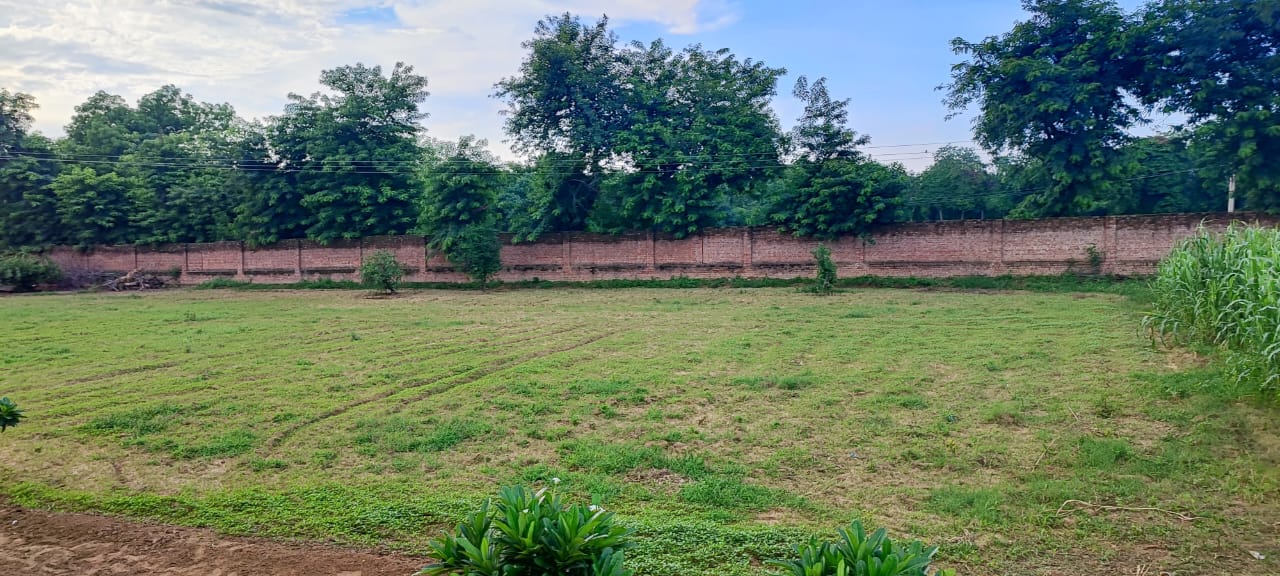 1000 sq yd Farmhouse Plot in Sohna