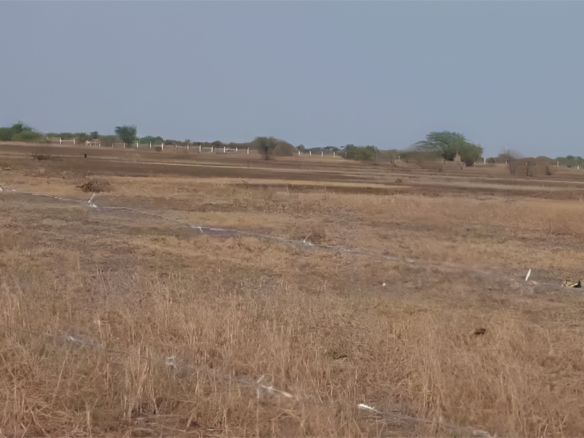 500 sq yd Residential Plot at Velavadar Exotica in Dholera – Near Dholera SIR