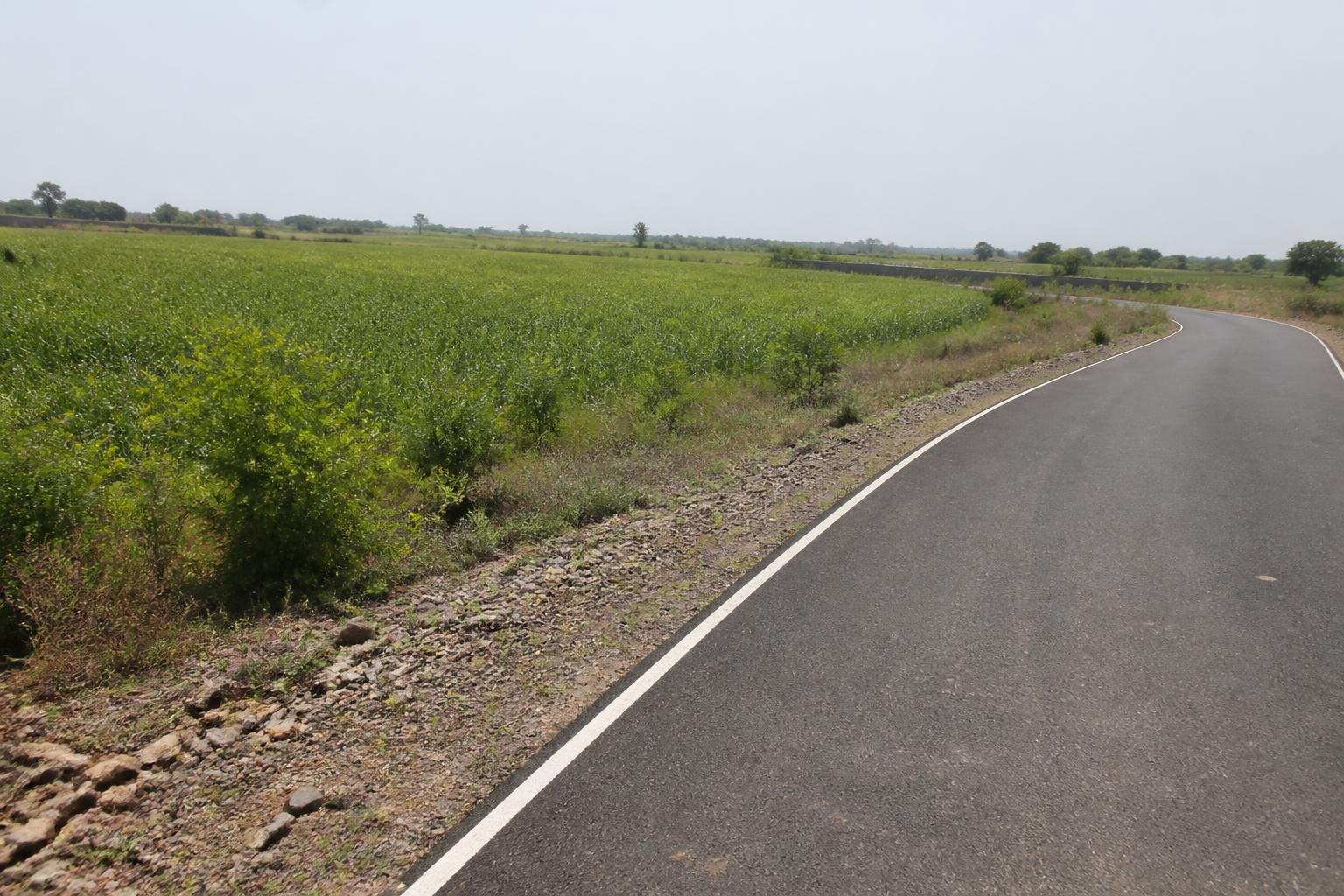 Residential Plots at Zuniq Greenz in Dholera – Near Dholera SIR